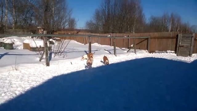 WP 20180308 003 смотреть онлайн