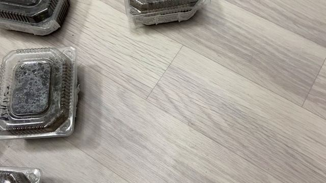 Что делаю с всходами бегонии смотреть онлайн