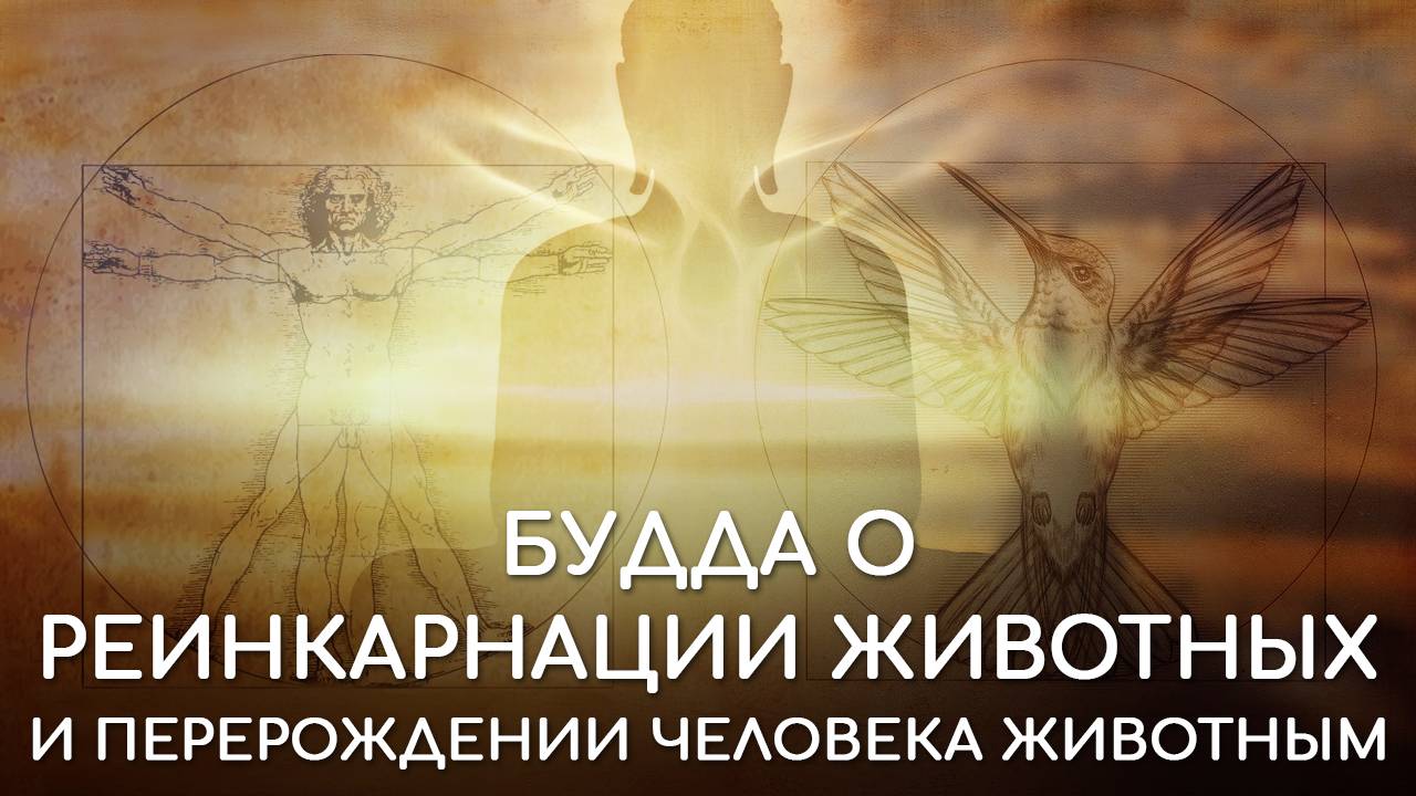 Реинкарнация животных. Будда о перерождении человека в животное. Куда попадают животные после смерти смотреть онлайн