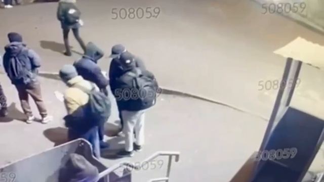 ДТП произошло после полуночи возле склада маркетплейса Wildberries в подмосковной Электростали. Такс смотреть онлайн