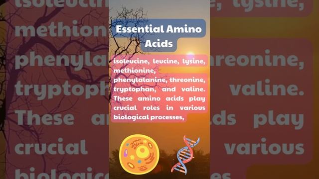 Amino Acid Group #genomewidestudy смотреть онлайн
