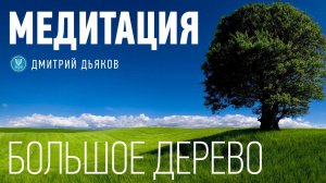 Медитация – Большое дерево (китайский цигун) | Наполнение энергией