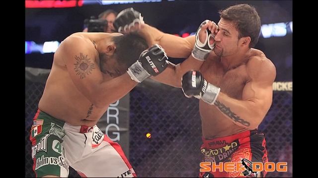 Phil Baroni on UFC 125, training in Thailand & buying a new car смотреть онлайн