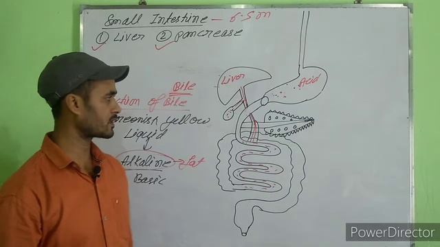 Life process Nutrition Part-2. Insight. смотреть онлайн