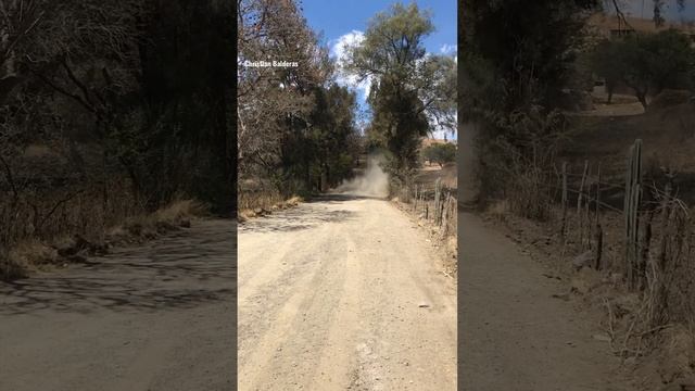 Toyota GR Yaris Rally1 | Rally Mexico 2023 | Before Power Stage | Sebastien Ogier смотреть онлайн