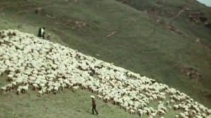 Моя Кабардино Балкария.