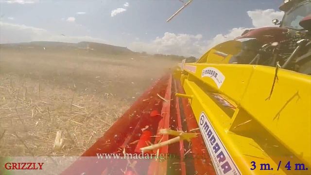 9 GRIZZLY Series RL смотреть онлайн