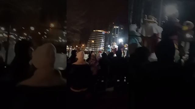 Новый год 2025 в парке Дельфин Воронеж, развлекательная программа в новогоднюю ночь 2025 амфитеатр смотреть онлайн