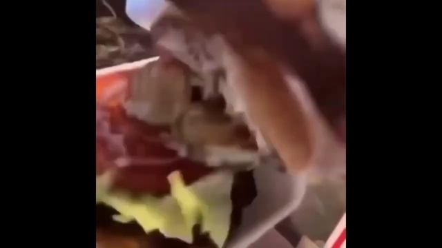 man opens a burger like a minecraft chest and screams смотреть онлайн