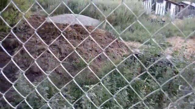 Бройлеры, купили прицеп, продали козу. смотреть онлайн