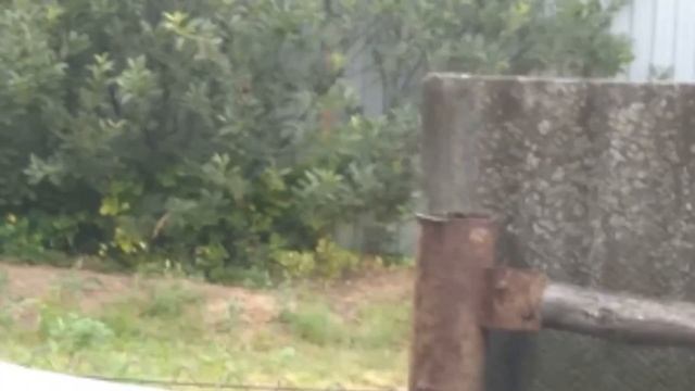 23.06.2023 Гнездо синички в трубе. смотреть онлайн