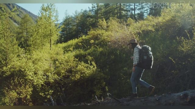 Forest. Relaxing sleep music For Stress Relief. смотреть онлайн
