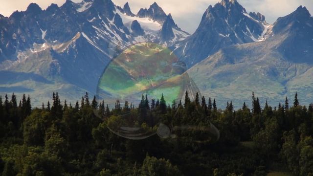 Ammolite: Colors of Ancient Seas смотреть онлайн
