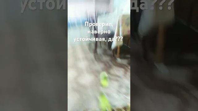 проверил, ( залетит без #?) смотреть онлайн