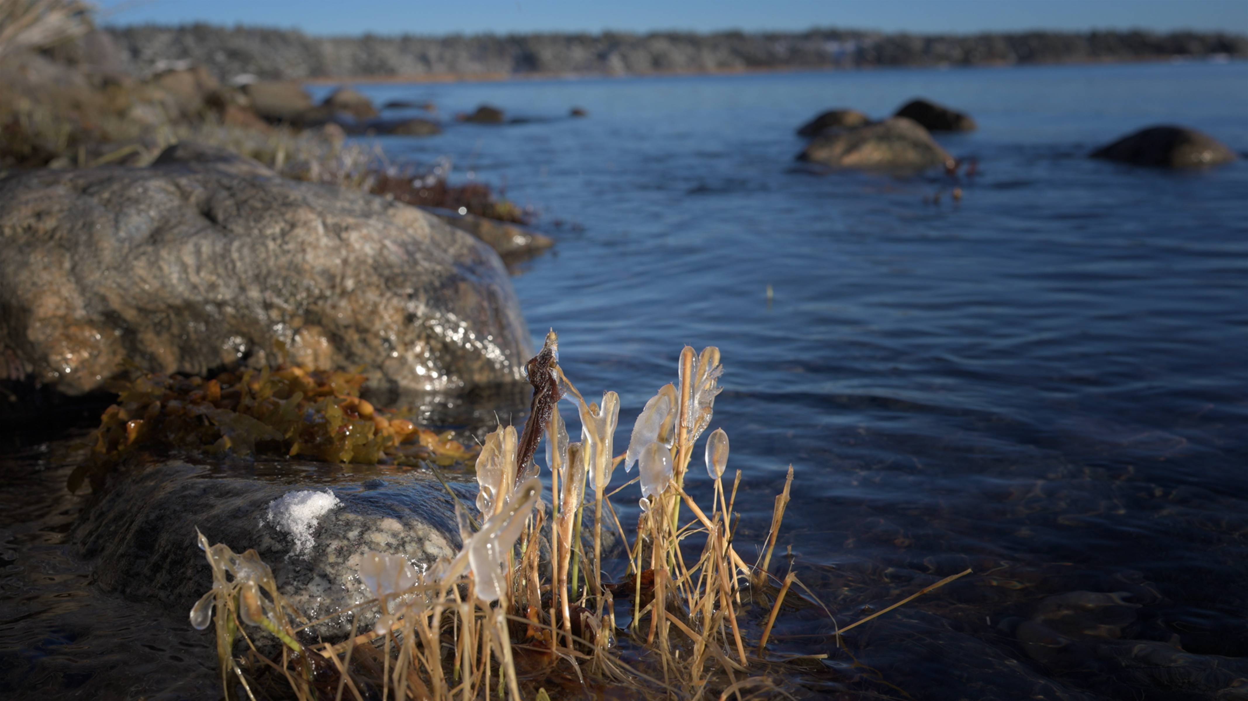 Зима: мороз и солнце у берега моря.