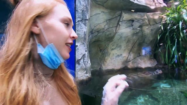 ПОНАЕХАВШИЙ ВЛОГ | ЯНА АЛЕКСЕЕВА