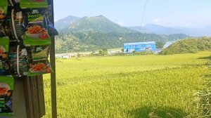 Непал, переезжаем жить в деревню.