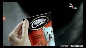 cesar реклама 2015