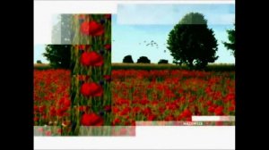 TVP Polonia - oprawa graficzna (fragmenty, do 2007 roku)