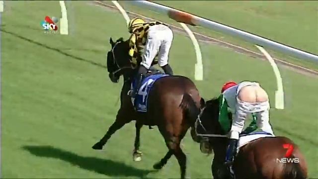 Голая жопа.