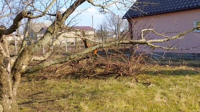 НА ДАЧЕ ЦЕЛАЯ ПОЛЯНА ПРОЛИСОК! ЗАБРАЛА ПОСЫЛКУ! ПРИВЕЗЛИ ВАКЦИНЫ ДЛЯ КРОЛИКОВ! 24.03.24 смотреть онлайн