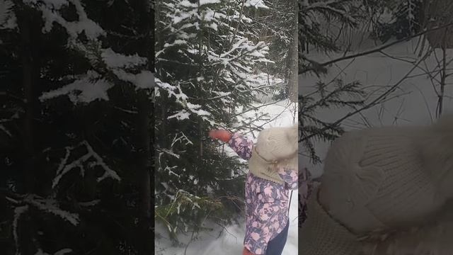 Настя играет с ëлочкой смотреть онлайн