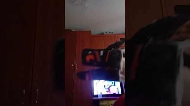 22 марта 2024 г. смотреть онлайн