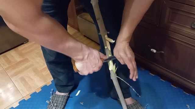 Якут средний 006. Русский булат.