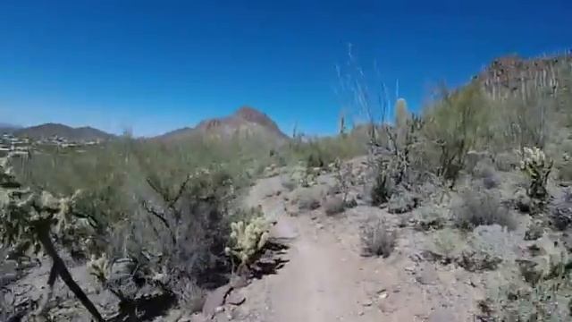 Tucson MTB, Starr Pass Trail , Tucson Mountain Park смотреть онлайн