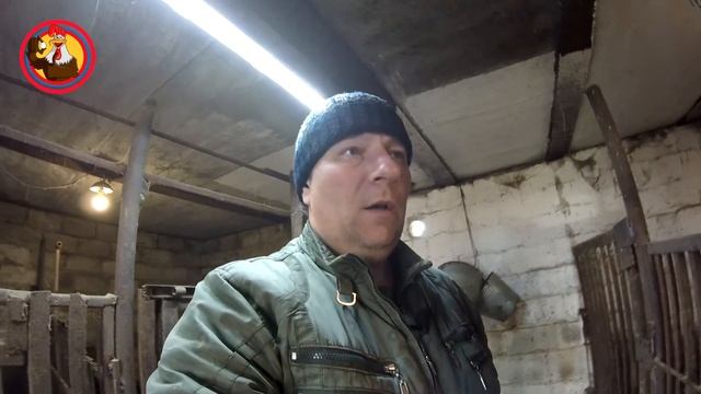 Цыплят перевели в утятник смотреть онлайн