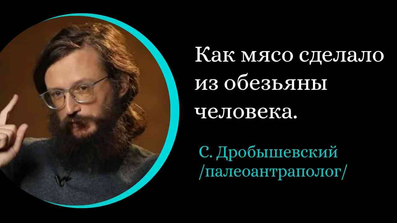 Как мясо сделало из обезьяны человека. / С. Дробышевский/ смотреть онлайн