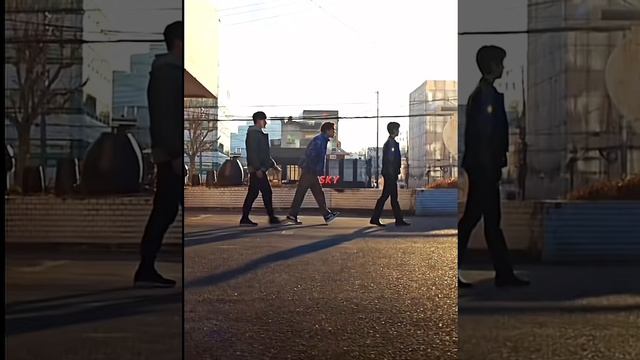 Охотничьи псы