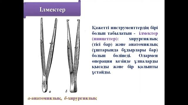 Талдықорған агро техникалық колледжі Кожагулов К.А. Ұлпаларды ажырату смотреть онлайн
