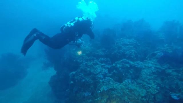 Le Gorgonie di Santa Caterina 27092015 смотреть онлайн