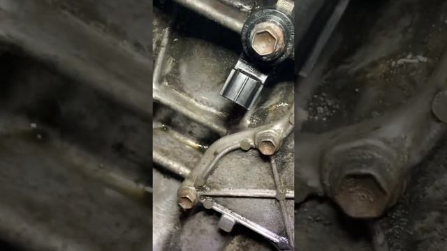 2010 Prius EGR Valve & cooler replaced, coolant flush & engine cleaning смотреть онлайн