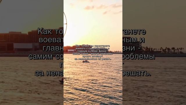 Мудрость жизни, мудрые цитаты, мудрые слова смотреть онлайн