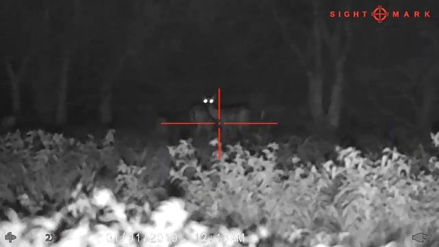 66LRX UPGRADED 850NM IR | SIGHTMARK WRAITH смотреть онлайн
