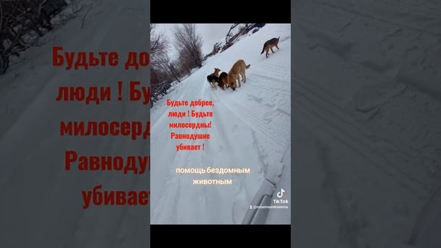 #добротаспасетмир смотреть онлайн