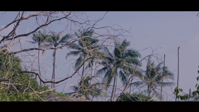 playa nudista nudist beach koh Phangan смотреть онлайн