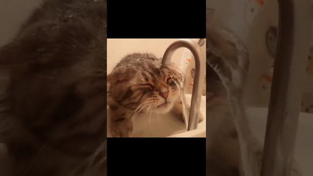 1 января смотреть онлайн