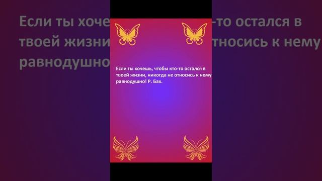 #статус #статусы #цитата #цитаты