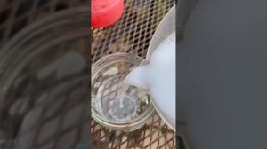 Очень эффектная обработка сада по зеленому конусу