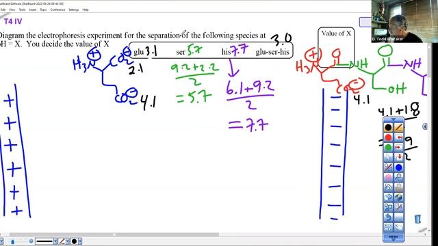 c242F21T4IVQ6 ElectrophoresisDiagram смотреть онлайн