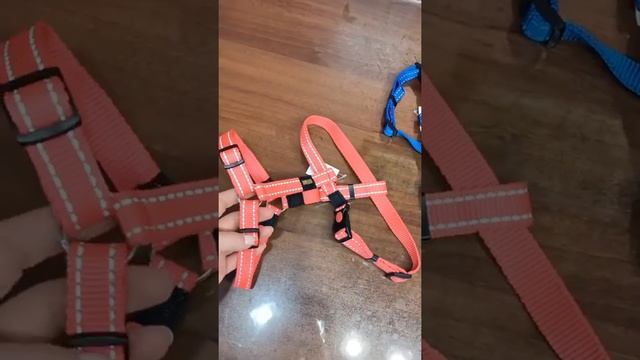 Шлейки для прогулок смотреть онлайн