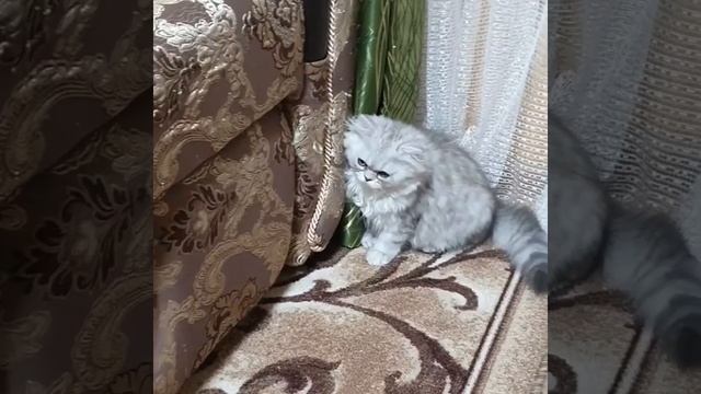 Бетта Гранд Эмми смотреть онлайн