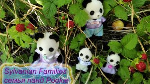 Семья панд Sylvanian Families