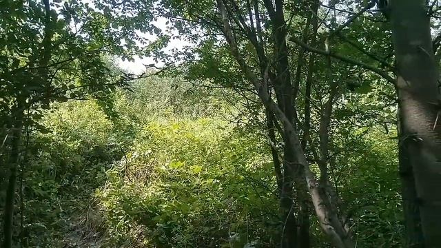 Путь отшельника (часть 3). Быт и размышления... смотреть онлайн