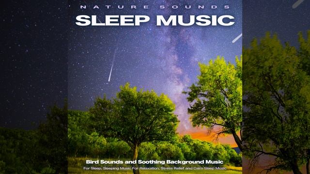 Soft Bird Music For Sleep смотреть онлайн