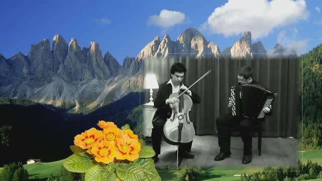 Проект в Proshow Producer c 3D панорамным эффектом///Инструментальная музыка аккордеон и виолончель смотреть онлайн