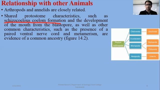 Arthropod, Evolutionary Perspective, Classification смотреть онлайн